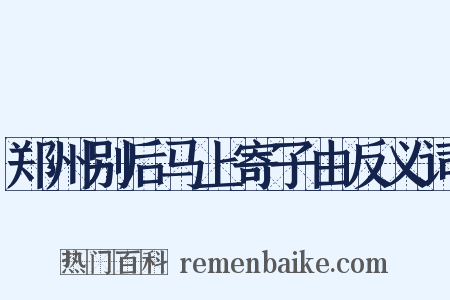 郑州别后马上寄子由反义词是什么意思的图片